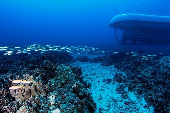 Big Island: Atlantis Submarine from Kona Beach - Who will enjoy this submarine ride most