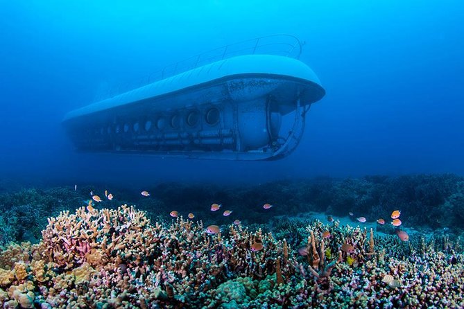 Big Island: Atlantis Submarine from Kona Beach - A 25-acre coral reef with a long local story