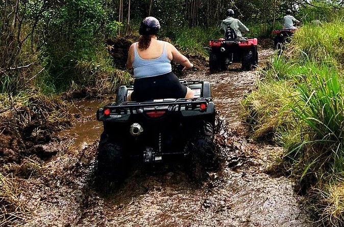 Big Island ATV Tour at Ohana Ranch - Riding Through Pasture, Forest, and Fruit Groves