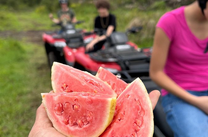 Big Island ATV Tour at Ohana Ranch - How Much Riding Should You Expect?
