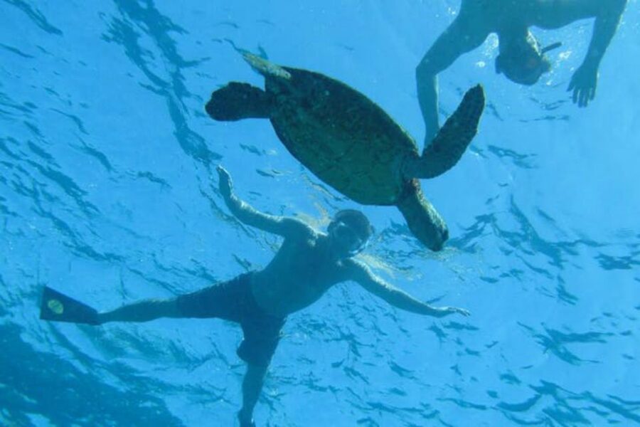 Big Island: Captain Cook Sightseeing & Snorkel Expedition - The crew makes a real difference