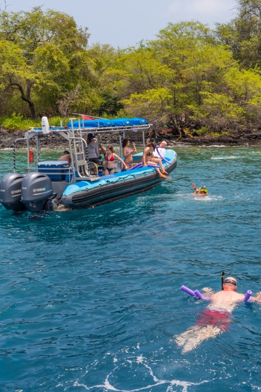 Big Island: Captain Cook Sightseeing & Snorkel Expedition - My call: book it for the mix, not one guaranteed sighting