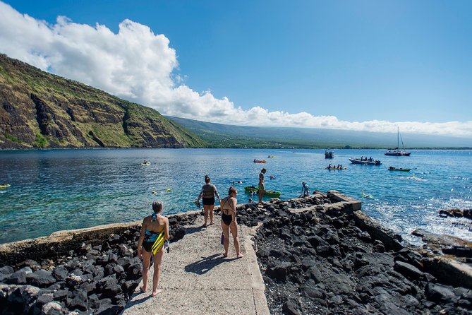 Big Island: Captain Cook Snorkel On A Power Catamaran With Lunch - Dolphins and winter humpback whales