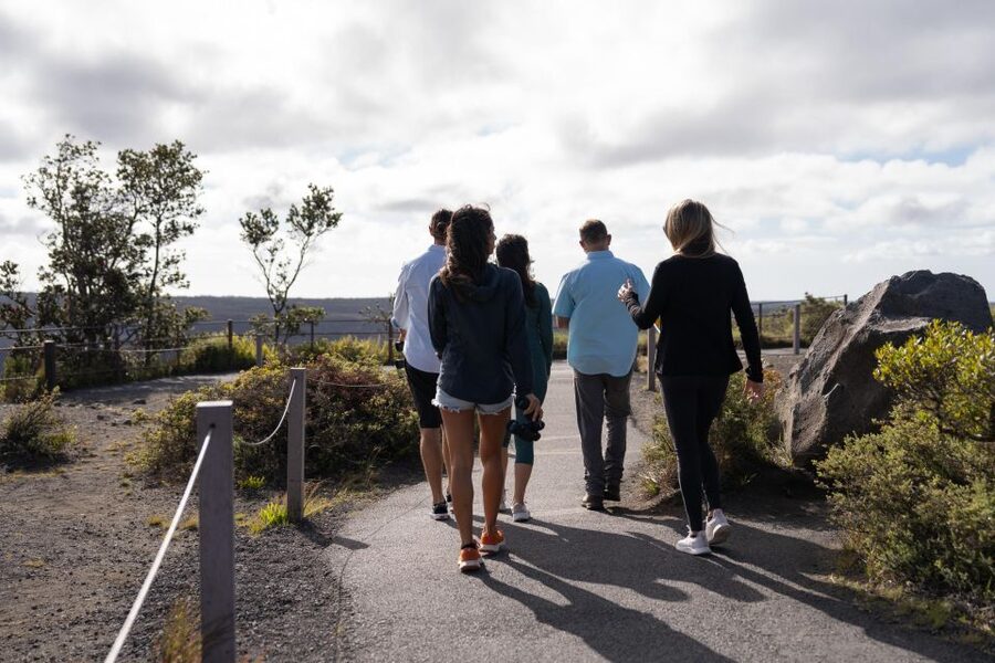 Big Island: Coffee, Black Sand, Volcano and Waterfall Tour - Lunch, wine, and a change of pace at Volcano Winery