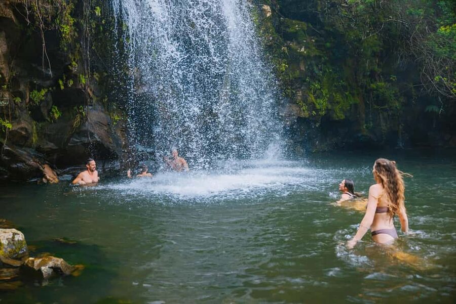 Big Island: Full Day Adventure Tour of the Kohala Waterfalls - A full day in Kohala, from plantation towns to private waterfalls