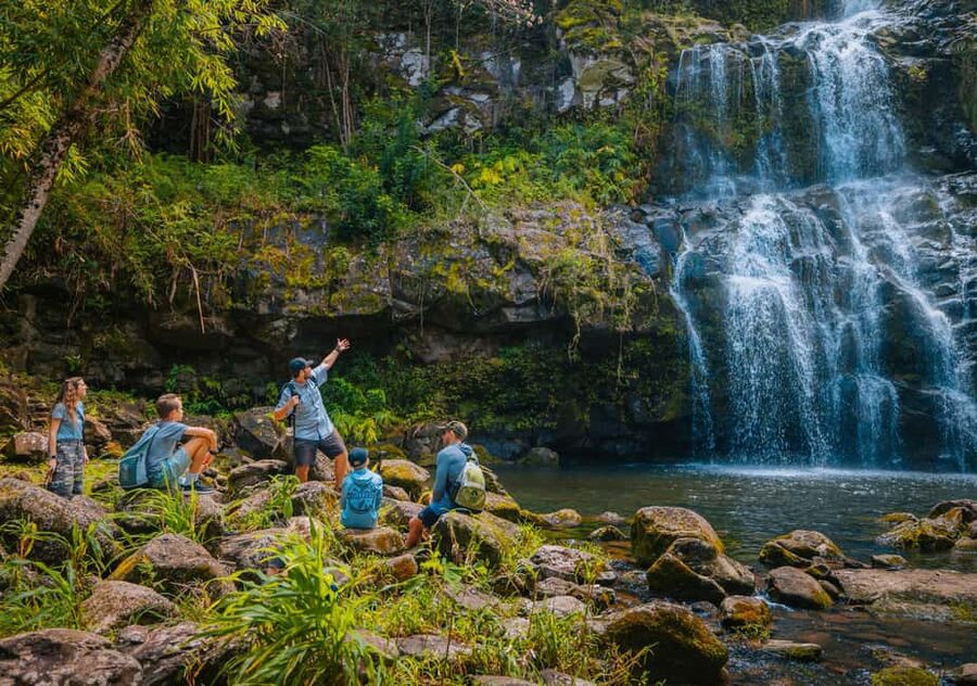 Big Island: Full Day Adventure Tour of the Kohala Waterfalls - A one-mile stream walk with a naturalist guide