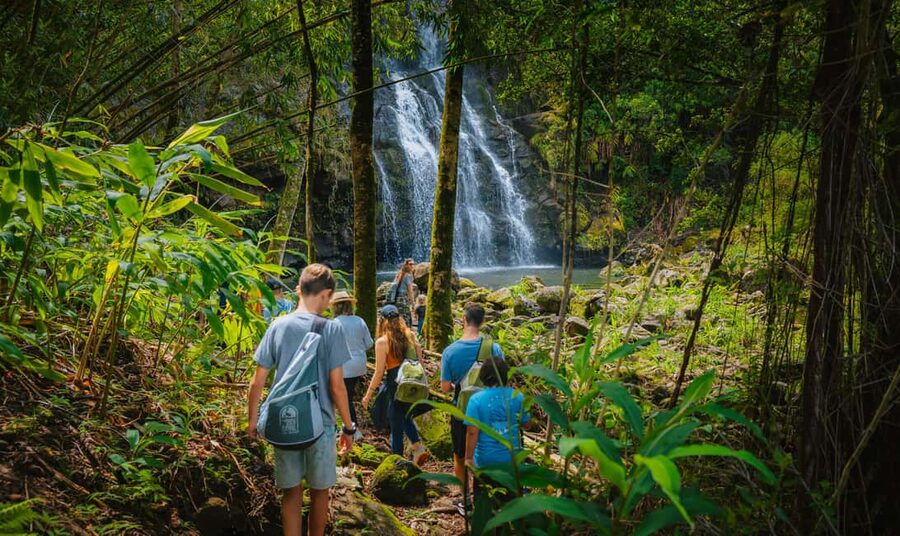 Big Island: Full Day Adventure Tour of the Kohala Waterfalls - The waterfall swim is the highlight, with one rocky catch