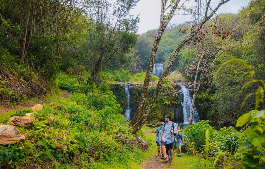 Big Island: Full Day Adventure Tour of the Kohala Waterfalls - Who will enjoy this tour most
