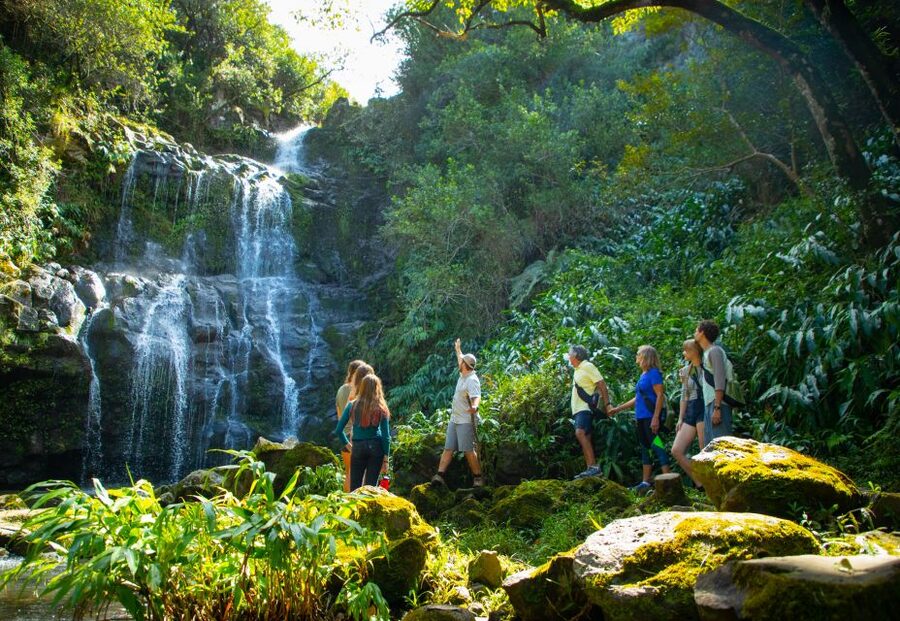 Big Island: Full Day Adventure Tour of the Kohala Waterfalls - Hawi and Kapa’au: the historic northern Kohala setting