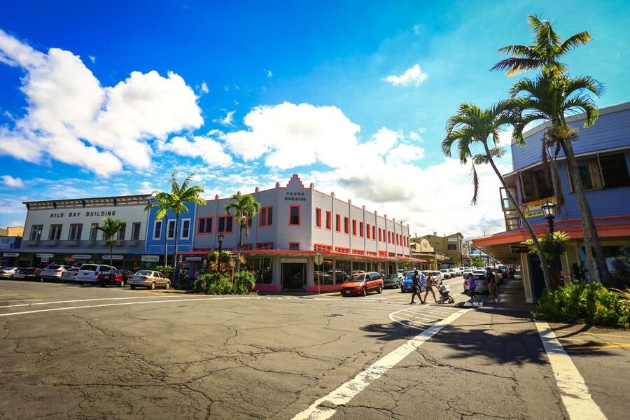 Big Island: Full Day Circle Island Tour From Kona - Bay View Farm and Kona coffee country