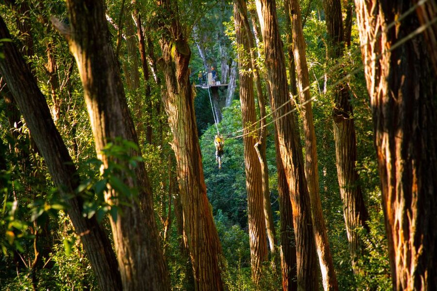 Big Island: Full-Day Kohala Zipline and Waterfall Adventure - Who should book this Kohala day