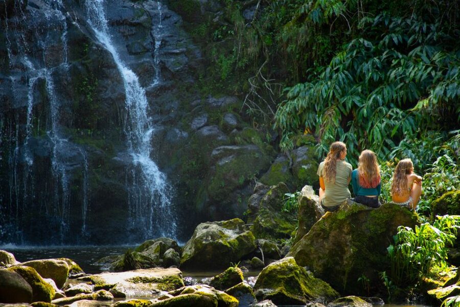 Big Island: Full-Day Kohala Zipline and Waterfall Adventure - Swimming beneath a private waterfall