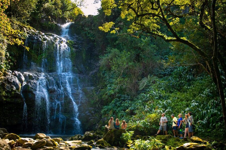 Big Island: Full-Day Kohala Zipline and Waterfall Adventure - Clothing, weight limits, and physical demands