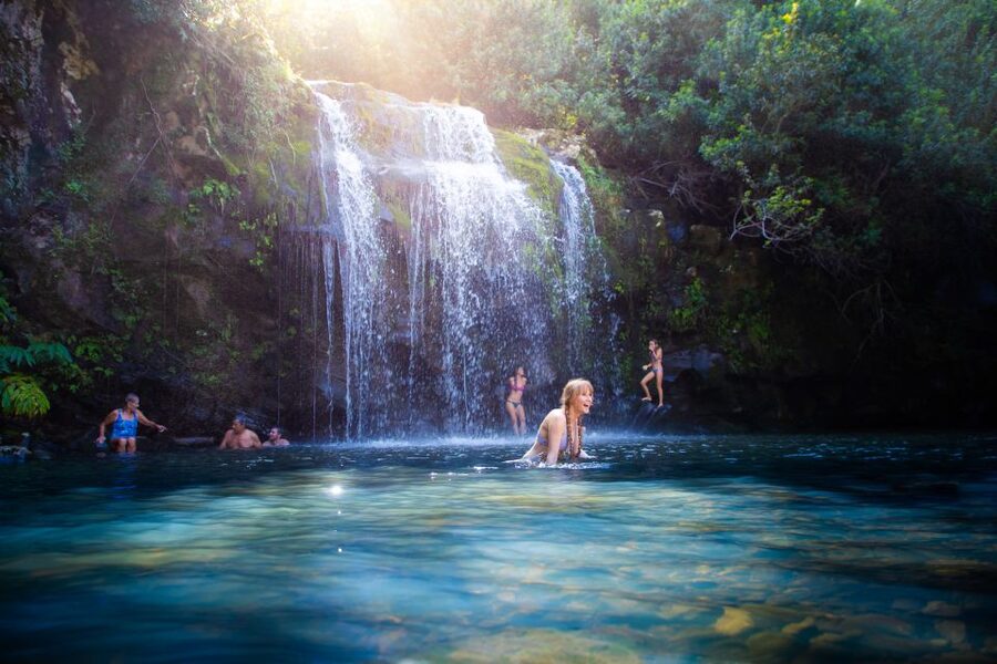 Big Island: Full-Day Kohala Zipline and Waterfall Adventure - Eight ziplines, six bridges, and one rappel in Kohala’s forest