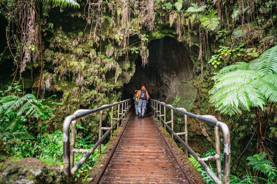 Big Island: Hawai'i Volcanoes National Park Guided Hike - Six and a half hours in a volcanic park