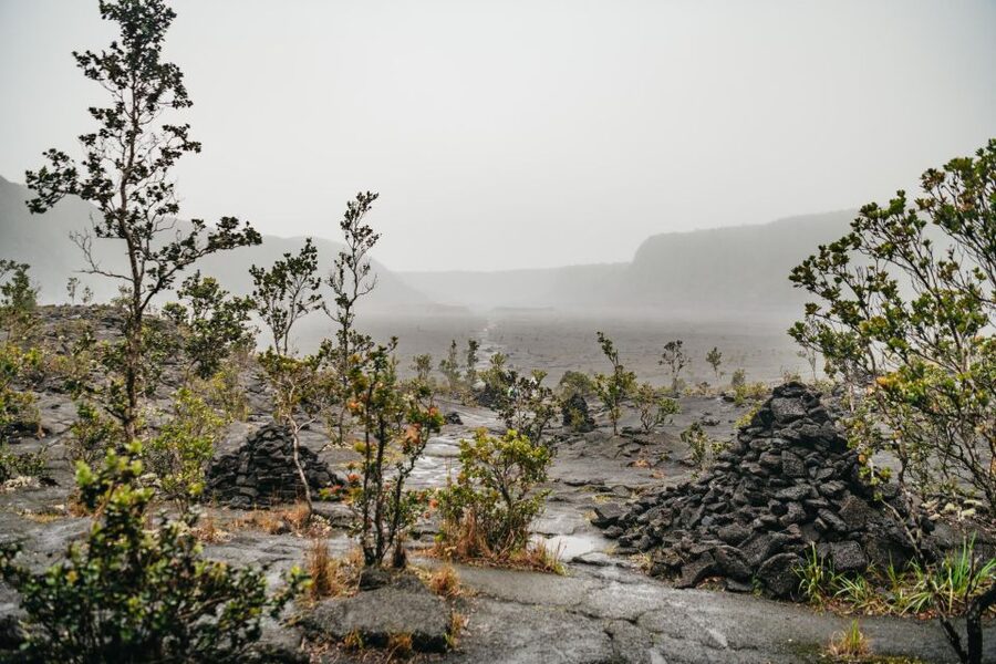 Big Island: Hawai'i Volcanoes National Park Guided Hike - Looking across Kilauea Iki Crater