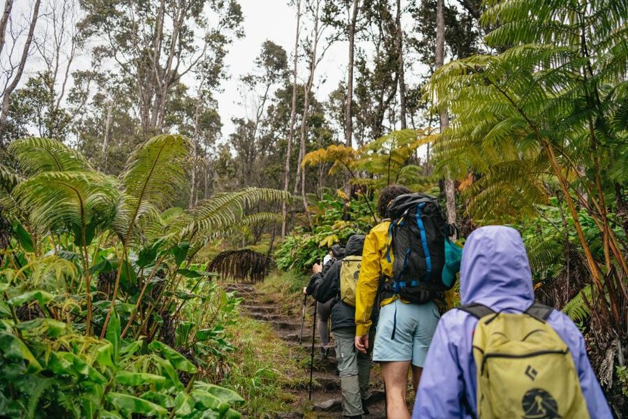 Big Island: Hawai'i Volcanoes National Park Guided Hike - Starting at the Kilauea Visitor Center