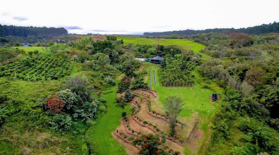 Big Island Hawaii: Craft Chocolate Tasting and Farm Tour - Quick take: what makes this chocolate tour special