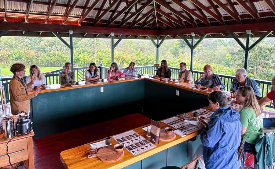 Big Island Hawaii: Craft Chocolate Tasting and Farm Tour - Why the farm matters more than the candy bar