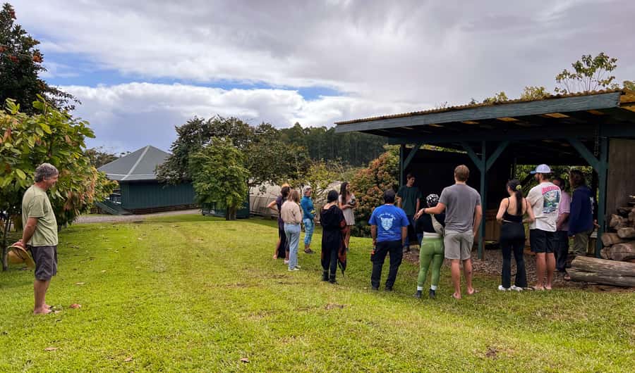 Big Island Hawaii: Craft Chocolate Tasting and Farm Tour - Chocolate history from Mesoamerica to Hawaii