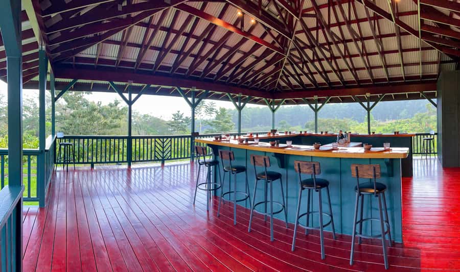 Big Island Hawaii: Craft Chocolate Tasting and Farm Tour - Fresh cacao juice, roasted beans, and cacao tea