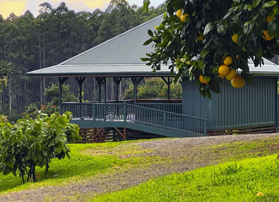 Big Island Hawaii: Craft Chocolate Tasting and Farm Tour - Is $130 a fair price?