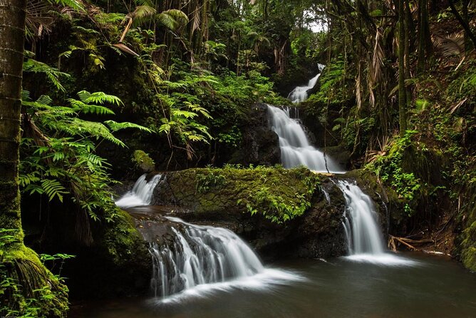 Big Island Hawaii Self-Guided Driving Tour - Waterfalls, gardens, and the difficult history of Laupahoehoe