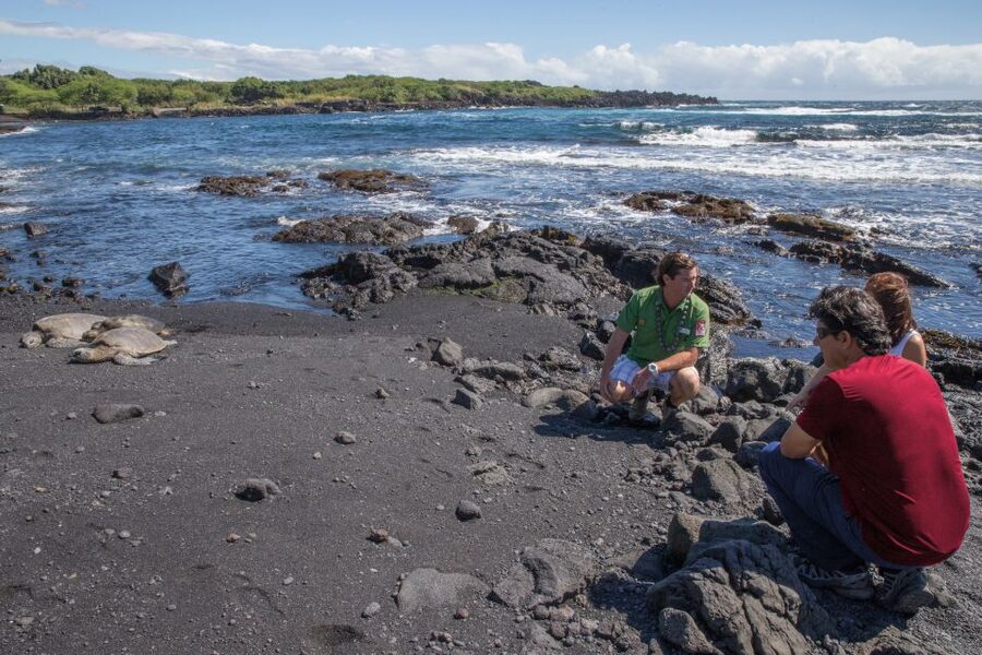Big Island, Hawaii: Volcano and Stargazing Tour with Dinner - Punalu’u Black Sand Beach and possible turtles