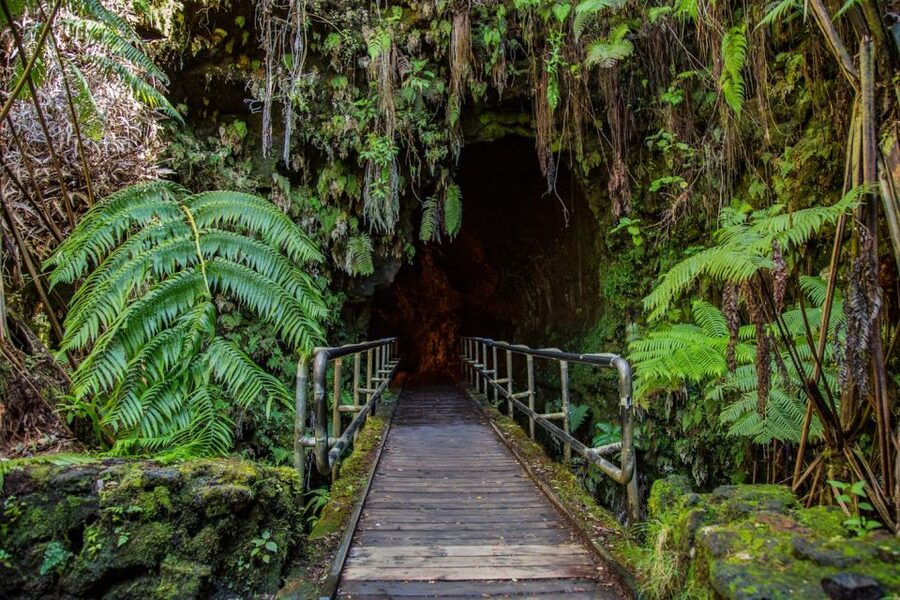 Big Island, Hawaii: Volcano and Stargazing Tour with Dinner - The guides make the road time count