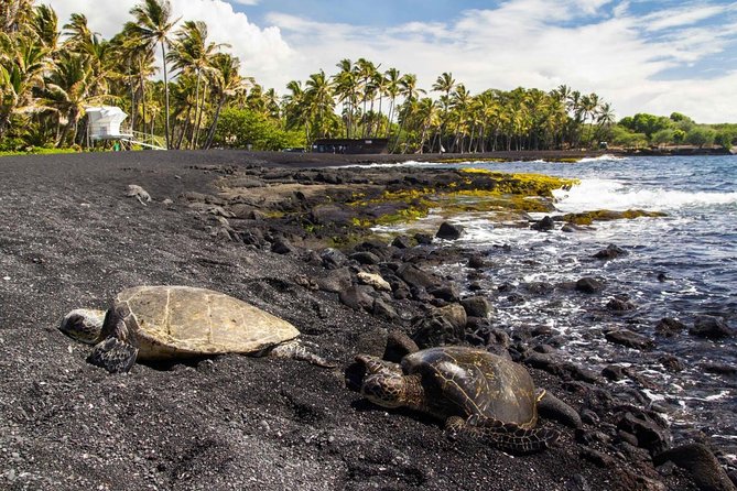 Big Island Highlights: Coffee, Volcano, Black Sands & Waterfall - Why this 11-hour Big Island route works