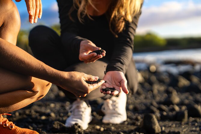 Big Island Highlights: Coffee, Volcano, Black Sands & Waterfall - The guide can make or break the long drive