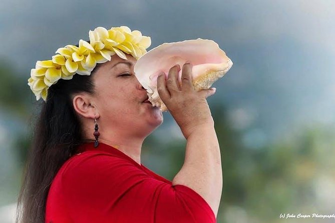 Big Island Historical Dinner Cruise to Kealakekua Bay - A sunset cruise with more to say than look at