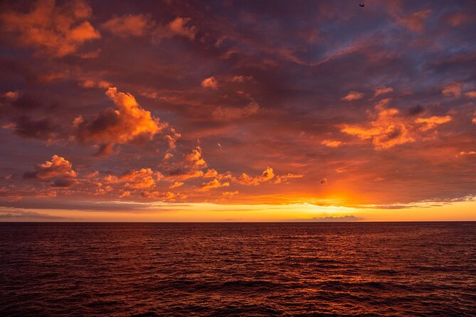 Big Island Historical Dinner Cruise to Kealakekua Bay - Dinner with local ingredients