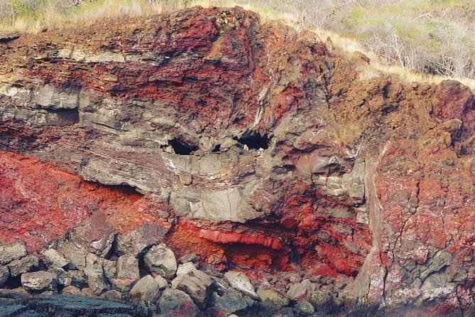 Big Island Historical Dinner Cruise to Kealakekua Bay - Is the $189.19 price fair?
