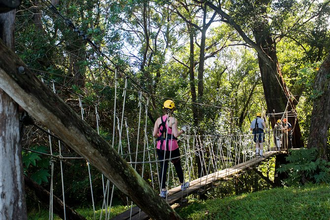 Big Island Kohala Canopy Zipline Adventure - The rope bridges add a different kind of fear
