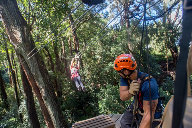 Big Island Kohala Canopy Zipline Adventure - The bumpy approach is worth planning for