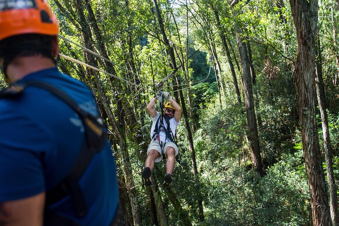 Big Island Kohala Canopy Zipline Adventure - The lines build from forest views to ocean speed