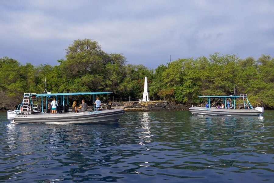 Big Island: Kona Half-Day Boat Tour with Snorkeling & Lunch - Lunch, snacks, and drinks keep the half-day practical