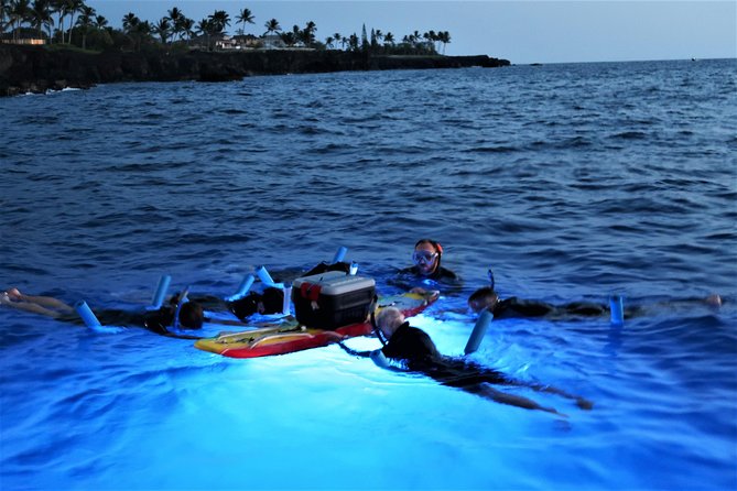 Big Island: Kona Manta Ray Snorkel Tour in Keauhou Harbor - What the rays are like at night