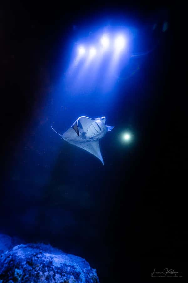 Big Island: Manta Ray Snorkel Boat Tour - The 20-minute safety briefing