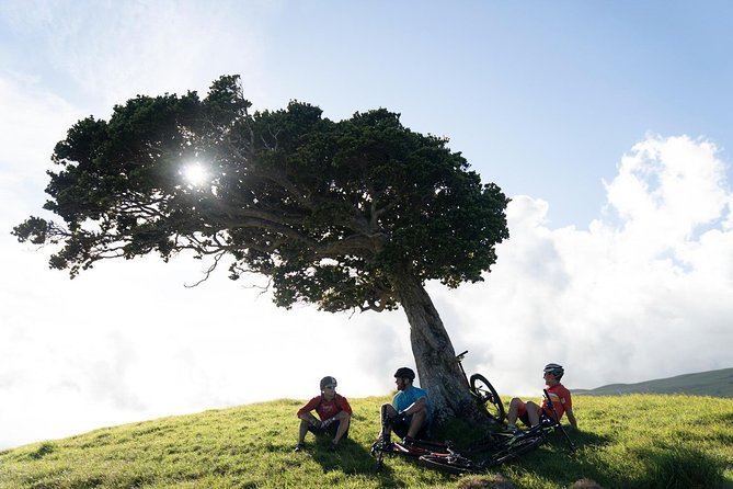Big Island Mountain Biking on Anna Ranch - Practical details that affect your day