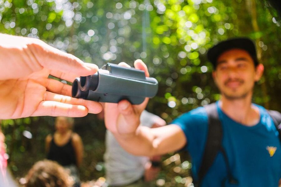 Big Island: Native Bird Watching & Hiking Tour - Why Hakalau Forest is worth the long day