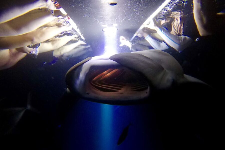 Big Island: Night Swim with Manta Ray with Hot Chocolate - Holding the raft while mantas feed below