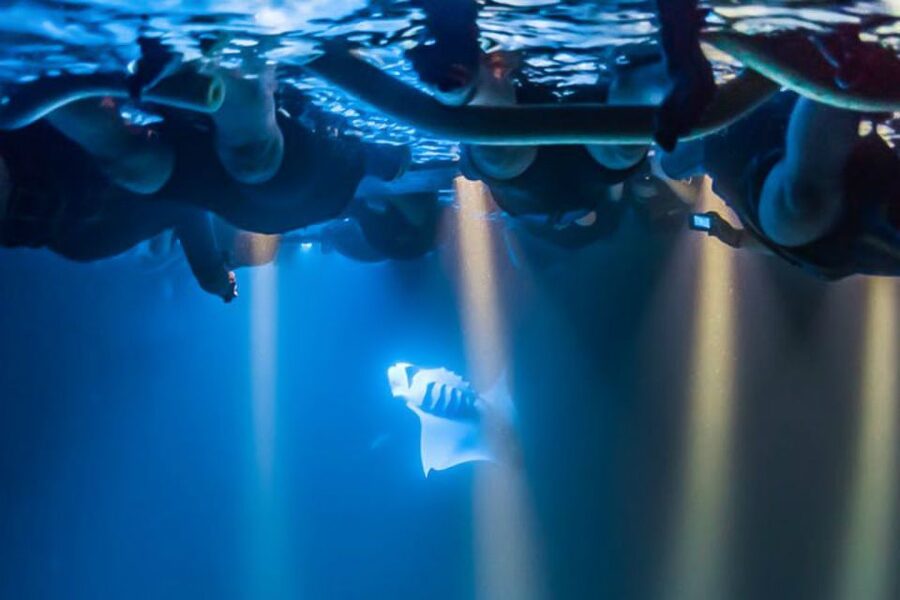 Big Island: Night Swim with Manta Ray with Hot Chocolate - The drawbacks you should take seriously