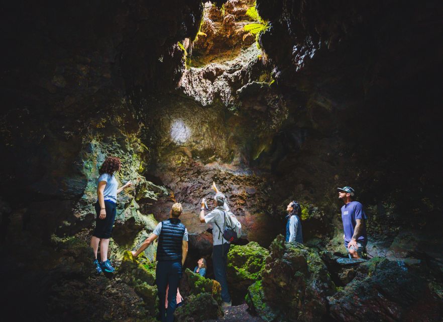 Big Island: Off the Beaten Path Volcano Crater Hike - Why Hualalai offers a different volcano day