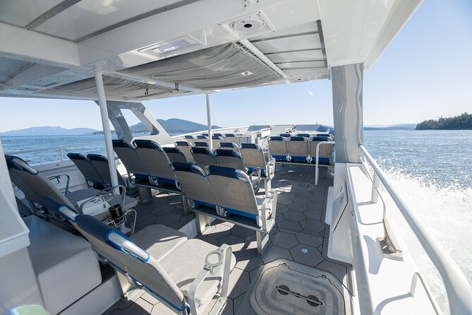 Big Island: Pelagic Whale Watch Tour - The price and what you receive for $129