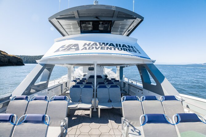 Big Island: Pelagic Whale Watch Tour - The wildlife you may actually see