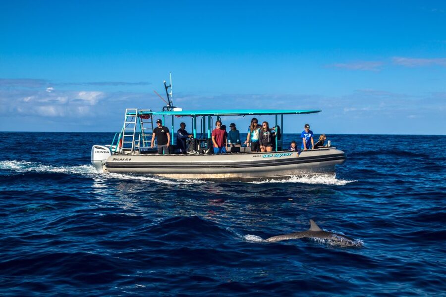 Big Island: South Kona Snorkeling and Coastline Exploration - The third stop is the tour’s wild card