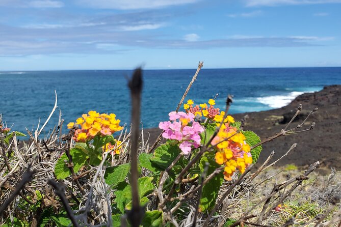 Big Island Southside ATV Tour - The lava tube stop and the first rough miles