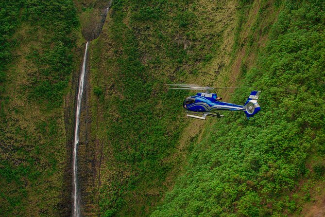 Big Island Spectacular Helicopter Tour - Who will enjoy this flight most?